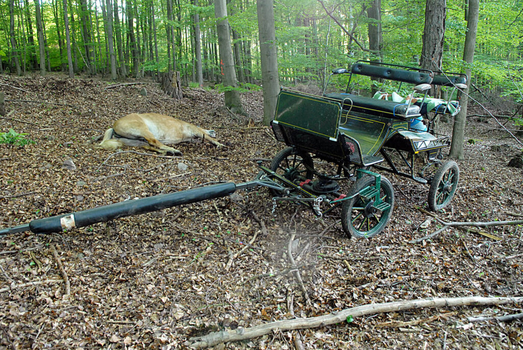 Totes Pferd liegt neben einer Kutsche im Wald