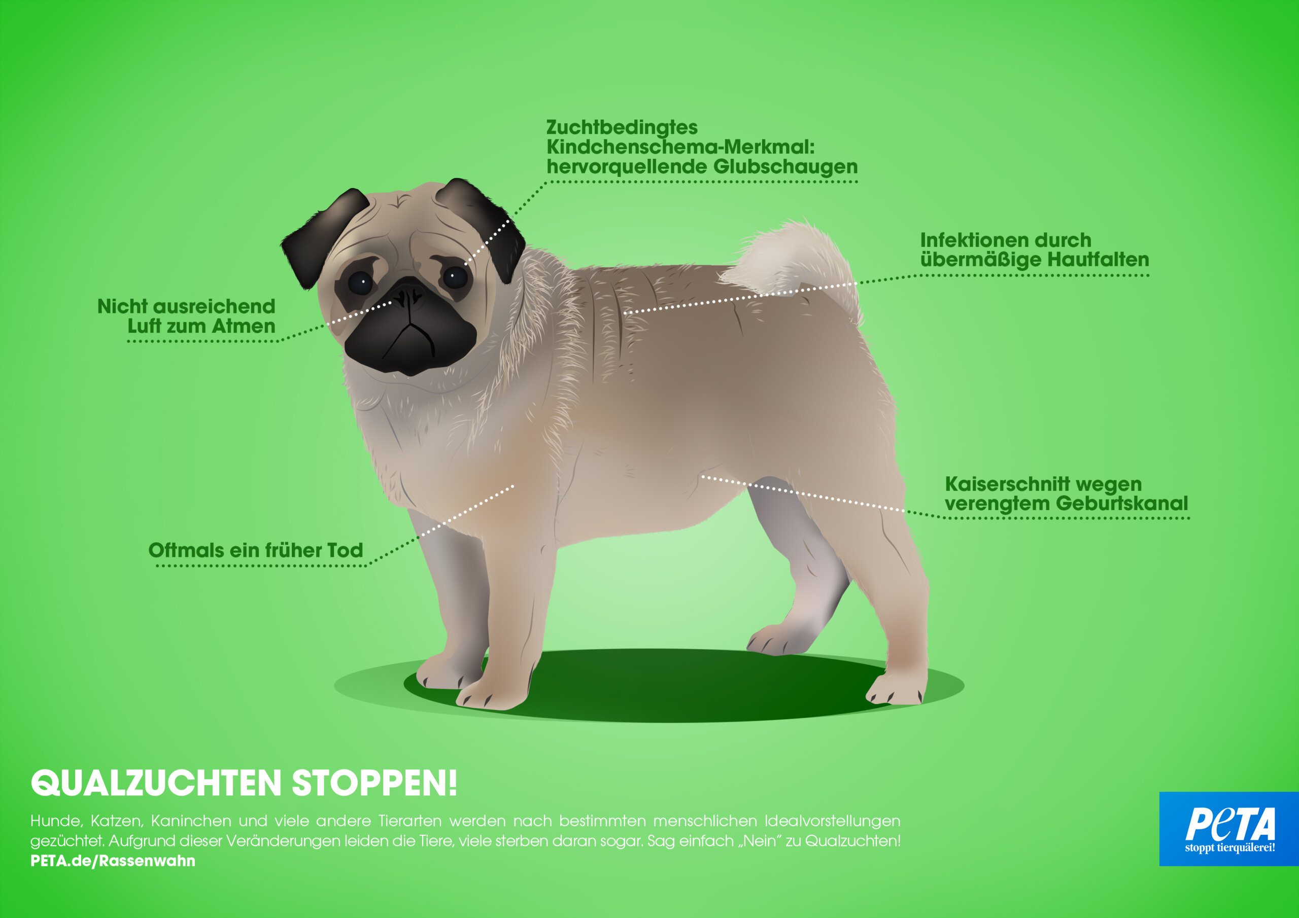 Grafik Hund auf grünem Hintergrund