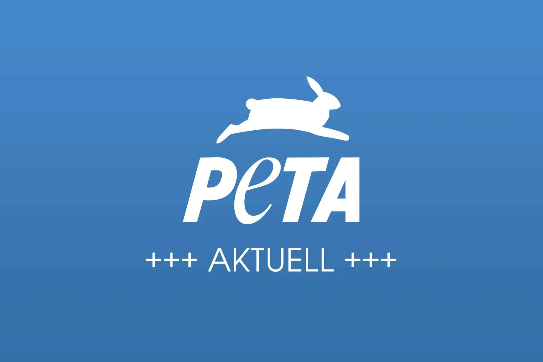 PETA Zeigt K nigsfischer In Kemmern An Wettfischen Verst t Gegen 