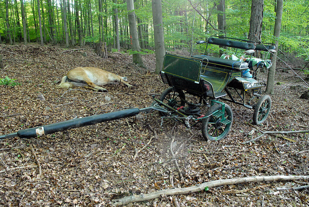 Kutsche im Wald, totes Pferd