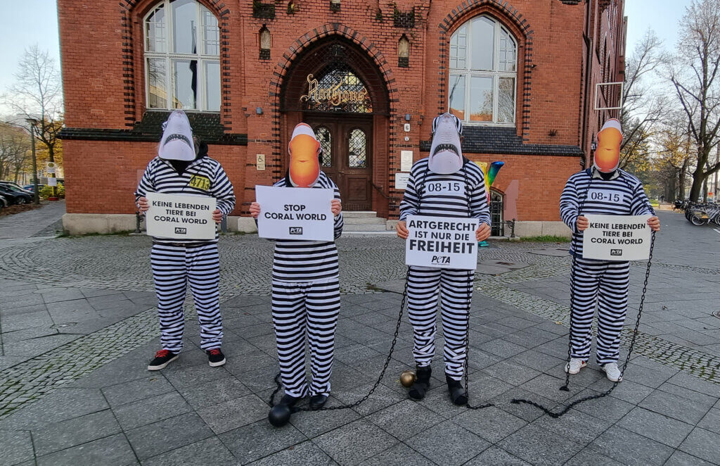 Vier Menschen in Sträflingskleidung mit Hai- und Fischmasken stehen in Ketten aneinander gebunden und halten Schilder.