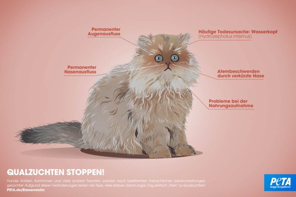 „Rassenwahn“ in Au in der Hallertau PETA übt scharfe Kritik an