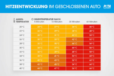 Grafik über die Temperaturentwicklung in Fahrzeugen im Sommer