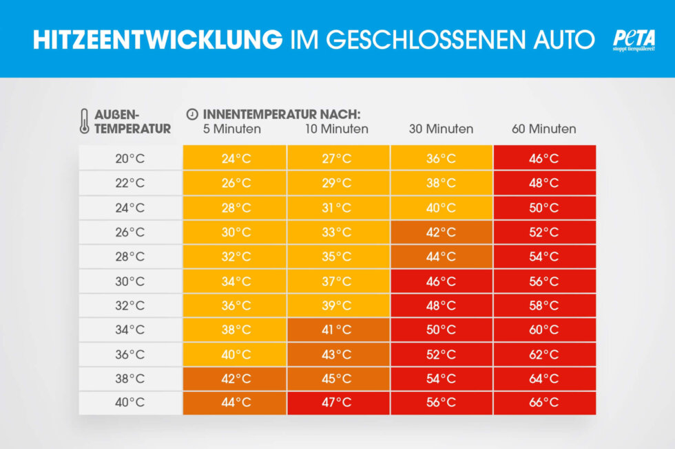 Grafik über die Temperaturentwicklung in Fahrzeugen im Sommer