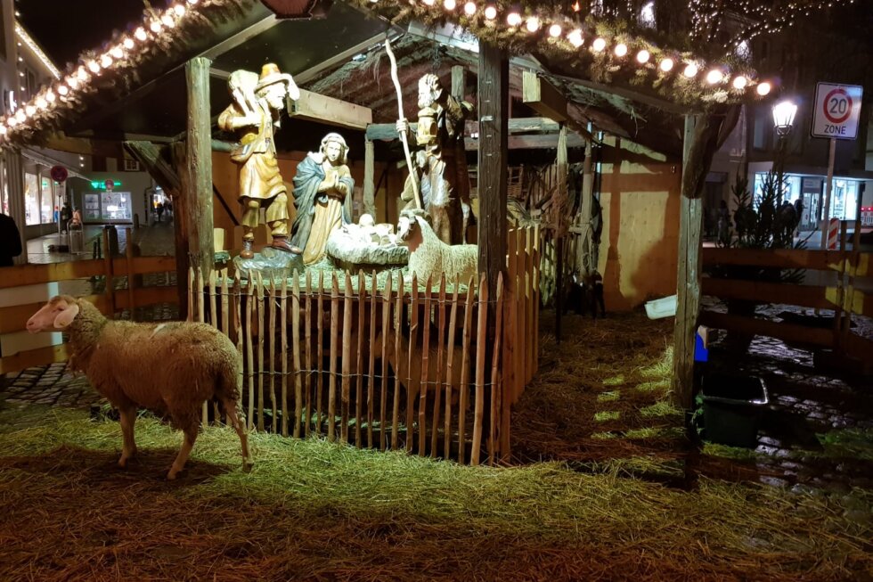 Mit Figuren dargestelltes Krippenspiel, in dessen Vordergrund sich ein Schaf befindet.