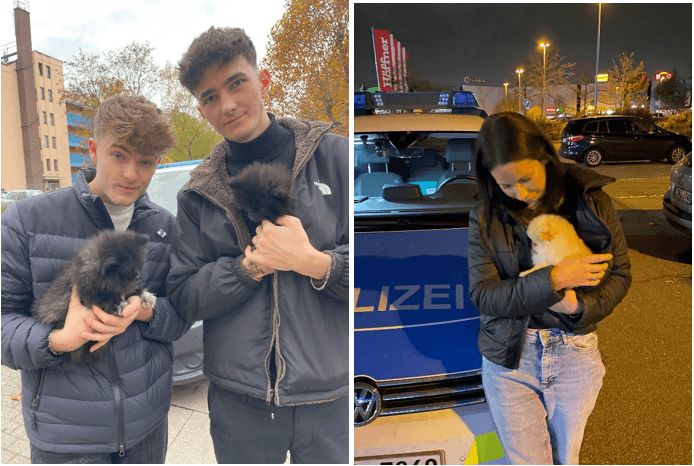 Links: die Influencer Nathan und Lewinray halten die beschlagnahmten Hundewelpen. Rechts: eine PETA Ermittlerin steht vor einem Polizeifahrzeug und hält einen beschlagnahmten Hundewelpen