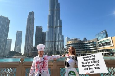 Links eine als Koch verkleidete, blutverschmierte Person, rechts eine als Kuh verkleidete Person, die ein Schild hält, im Hintergrund das Burj Khalifa
