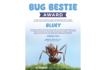 Der „Bug Bestie Award“ von PETA USA.