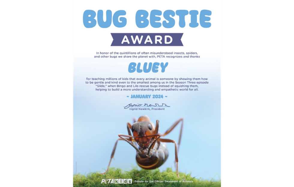 Der „Bug Bestie Award“ von PETA USA.