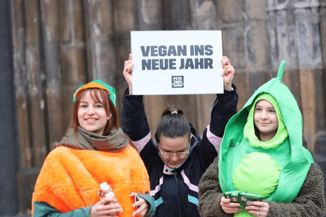 Als Gemüse verkleidete PETA-Aktive bei Vegan-Protest in Nürnberg