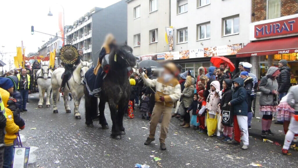 Ein Pferd wird inmitten eines Karnevalumzugs an einem Band nach vorne gezerrt.