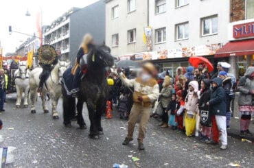 Ein Pferd wird inmitten eines Karnevalumzugs an einem Band nach vorne gezerrt.