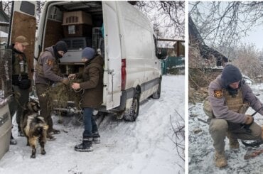 Zwei Fotos von Tierrettungen von Animal Rescue Kharkiv im Winter