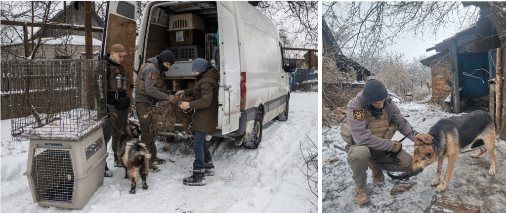 Foto links: Eine Ziege und drei Menschen von Animal Rescue Kharkiv vor dem Tierrettungseinsatzfahrzeug.
Foto rechts: Tierretter von Animal Rescue Kharkiv kümmert sich um Hund im Schnee.