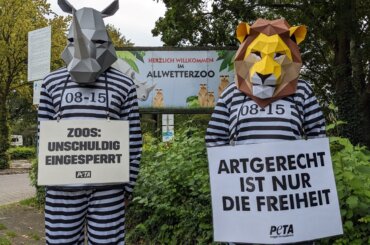 Aktive mit Zebra- und Löwenmasken in Sträflingskostümen halten Schilder