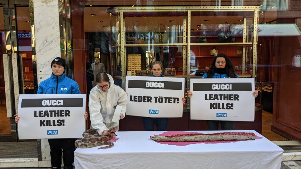 Eine Aktive erschlägt eine Schlange mit einem Hammer. Weiter Aktive halten Schilder 