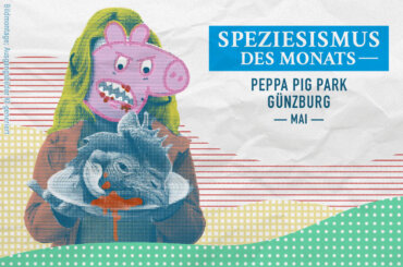 Speziesist des Monats Mai ist der PEPPA PIG Park