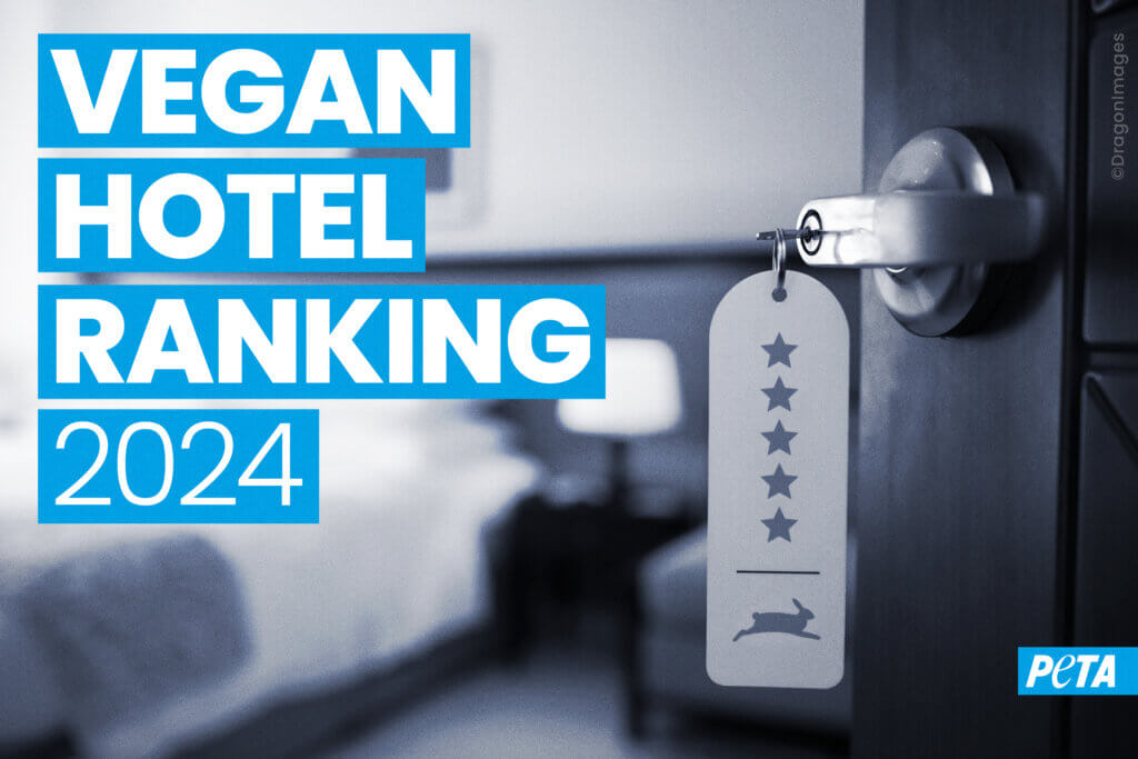 Grafik zum Vegan Hotel Ranking 2024 