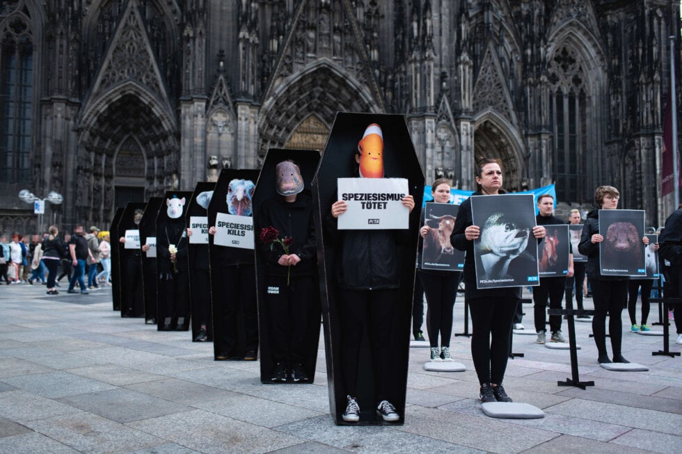 PETA Demonstration gegen Speziesismus