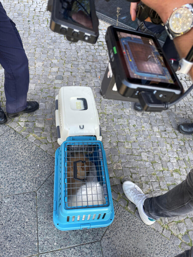 Eine Kamera filmt eine blaue Hundebox von oben.