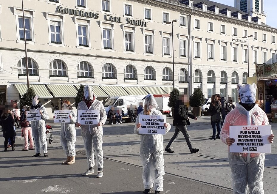 Aktive protestieren in weißen Anzügen und mit Tiermasken bekleidet in Karlsruhe