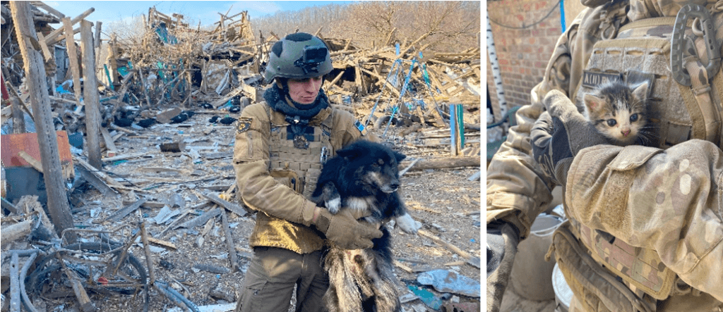 Links: Mann mit Hund auf Trümmerfeld. Rechts: Katzenkind wird von Person in Tarnanzug gehalten.