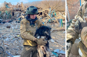 Links: Mann mit Hund auf Trümmerfeld. Rechts: Katzenkind wird von Person in Tarnanzug gehalten.