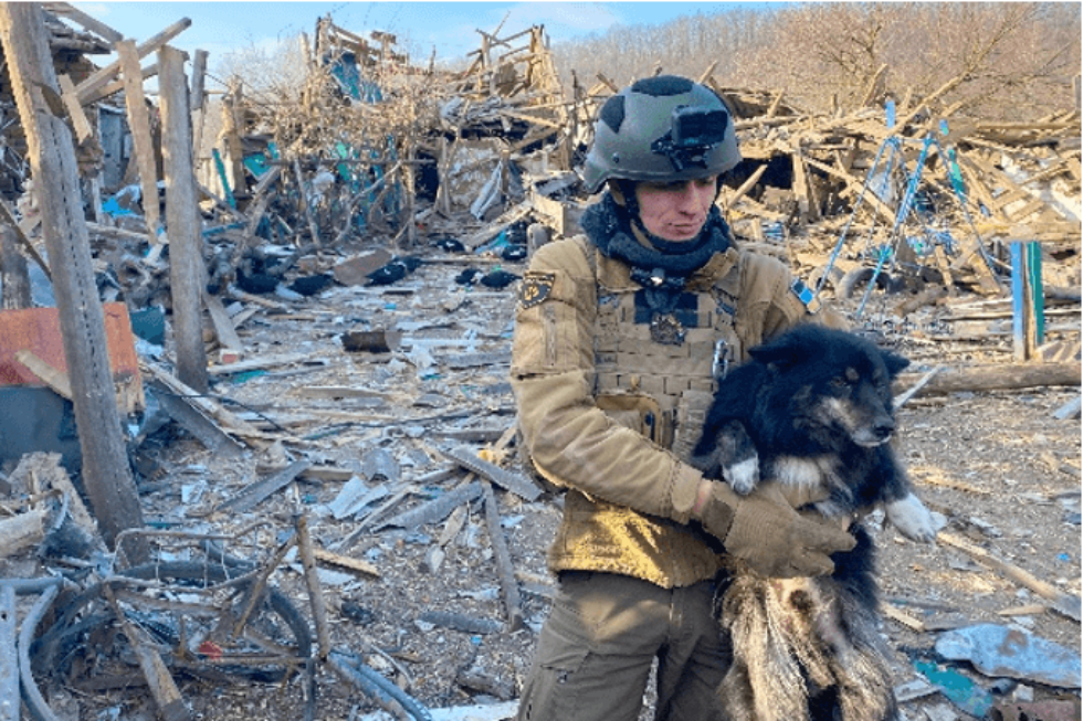 Links: Mann mit Hund auf Trümmerfeld. Rechts: Katzenkind wird von Person in Tarnanzug gehalten.