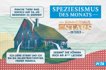 Grafik zum Speziesismus des Monats Oktober