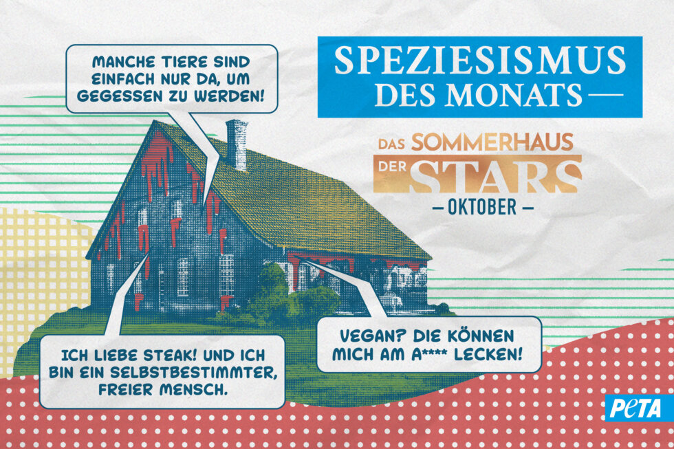 Grafik zum Speziesismus des Monats Oktober