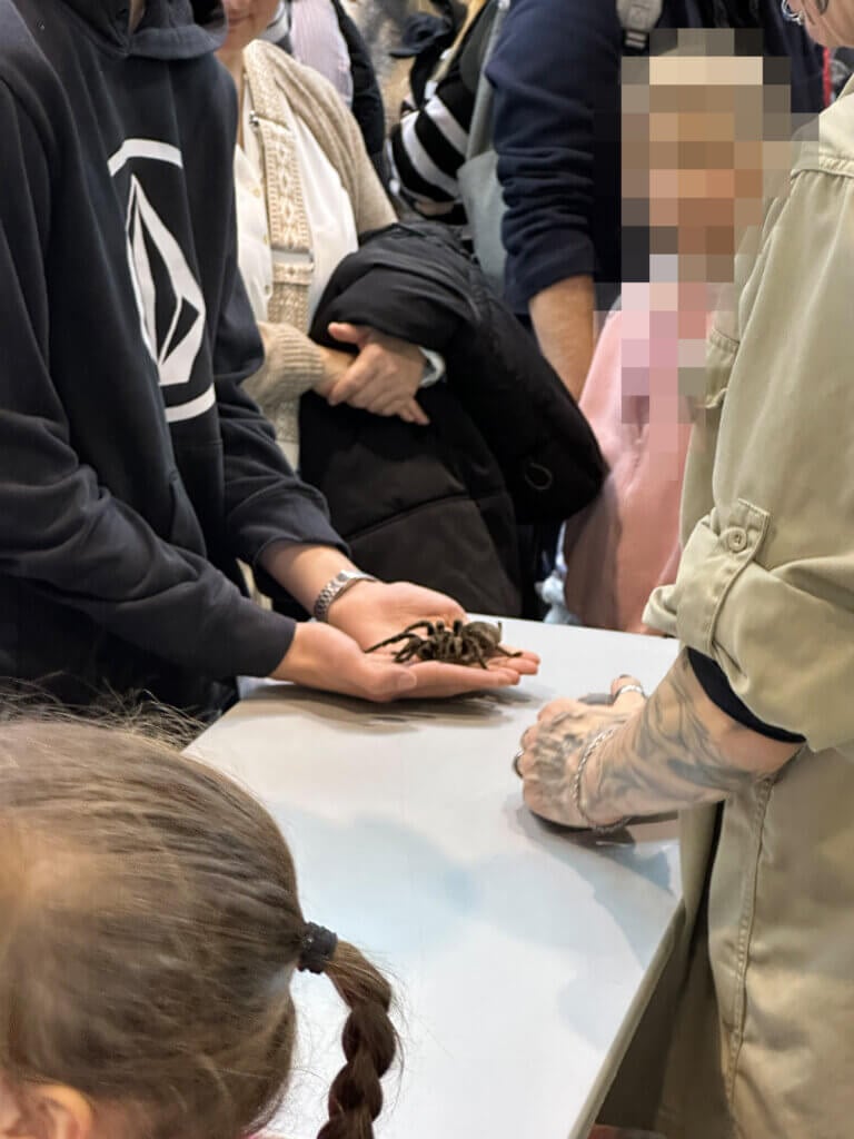 Besucher der Tiermesse begutachten eine Vogelspinne auf einer Hand.