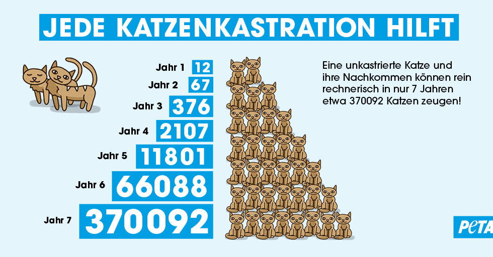 Eine Darstellung mit der Überschrift "JEDE KATZENKASTRATION HILFT", sowie der Erklärung, dass eine unkastrierte Katze in nur sieben Jahren etwa 370092 Nachkommen zeugen kann.