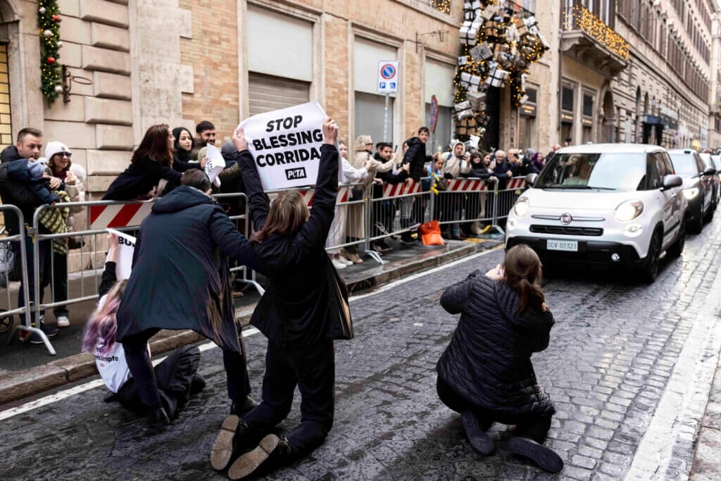 Vier Tierschützerinnen von PETA wurden heute in Rom verhaftet, nachdem sie Papst Franziskus angefleht hatten, Stierkämpfe nicht länger zu unterstützen. / © PETA UK