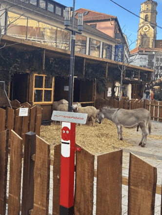 Das Bild zeigt einen Esel und drei Schafe in einem Gatter auf dem Stuttgarter Weihnachtsmarkt.