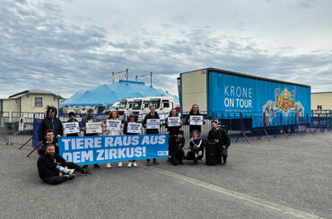 PETA-Aktive stehen vor dem Zirkus Crone und halten ein Schild mit der Aufschrift "TIERE RAUS AUS DEM ZIRKUS!"