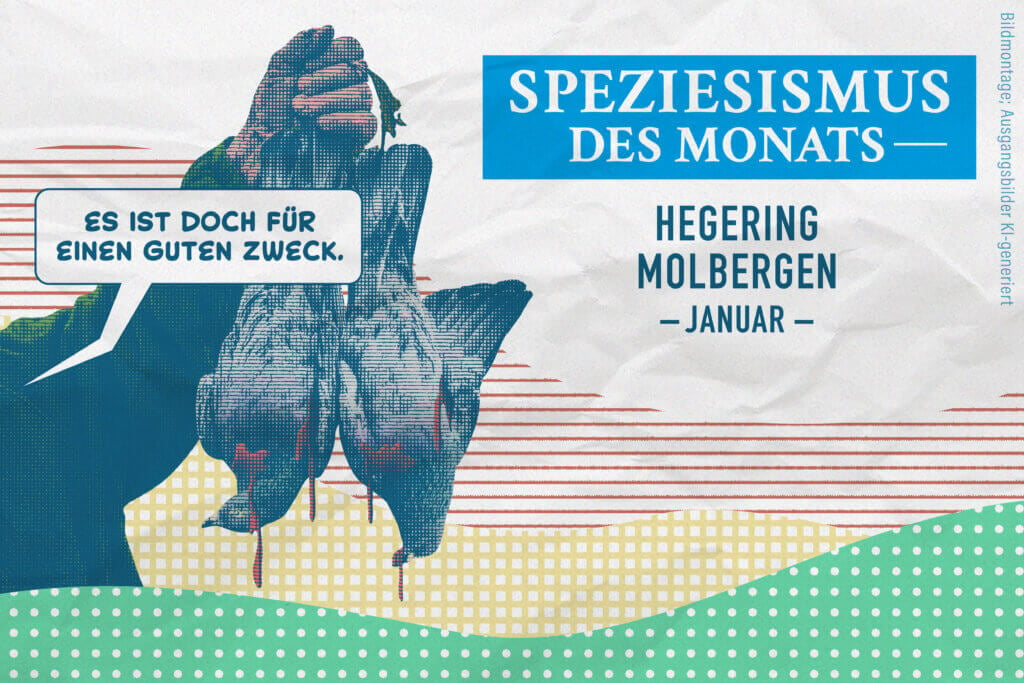 Grafik zum Speziesismus des Monats Januar 2025