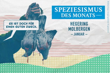 Grafik zum Speziesismus des Monats Januar 2025