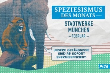 Grafik mit einem Elefanten und einem Affen