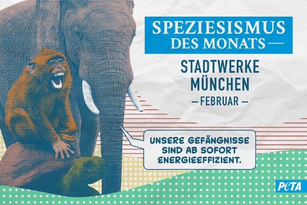 Grafik mit einem Elefanten und einem Affen