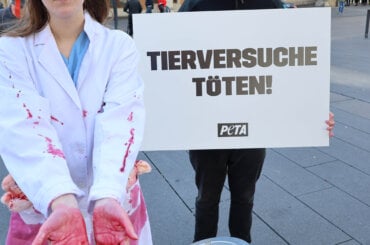 Aktive in Laborkittel mit blutigen Händen neben einem Eimer voller blutiger Plüschtiere