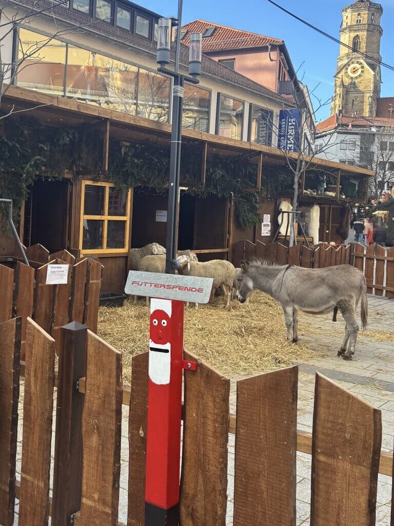 Esel in einem kargen Gehege.