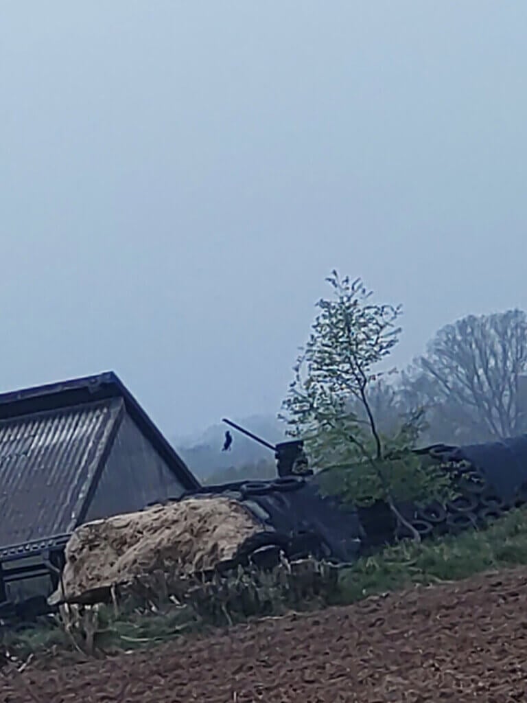 Tote krähe hängt an einem Mast