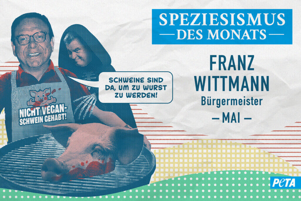 Grafik zum Speziesimus des Monats Mai 2025