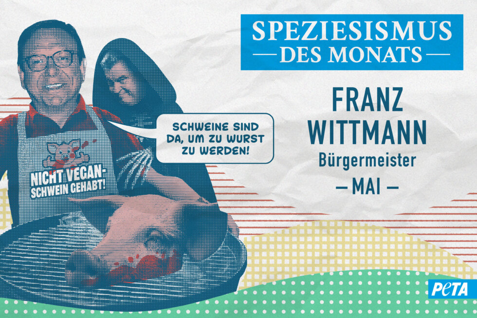 Grafik zum Speziesimus des Monats Mai 2025