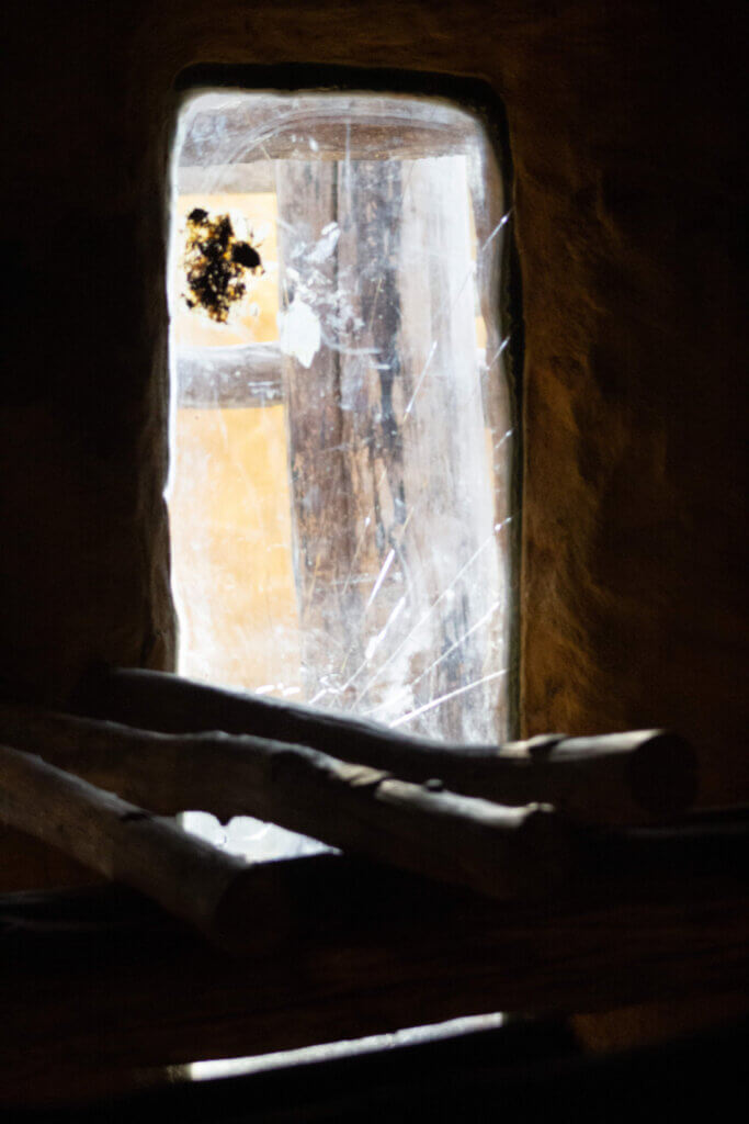 Gehegefenster eines Schimpansen