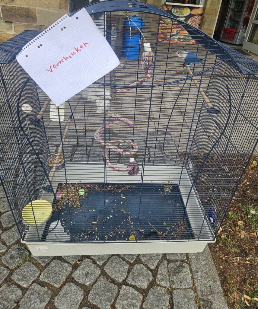 "Unzertrennlicher" in einem Käfig mit einem "zu verschenken"-Schild