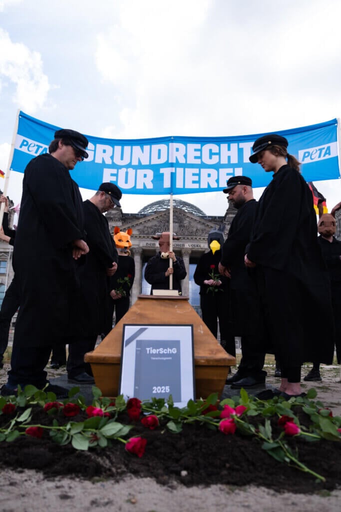 Aktive tragen das Tierschutzgesetz zu Grabe