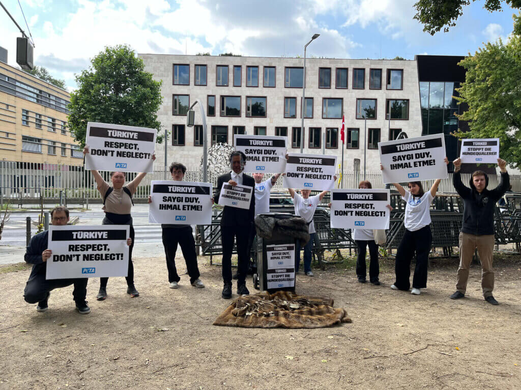 Aktive mit Schildern demonstrieren bei der türkischen Botschaft in Berlin gegen die Tötung von Hunden