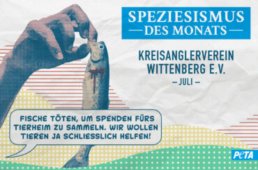Speziesismus des Monats Juli 2025