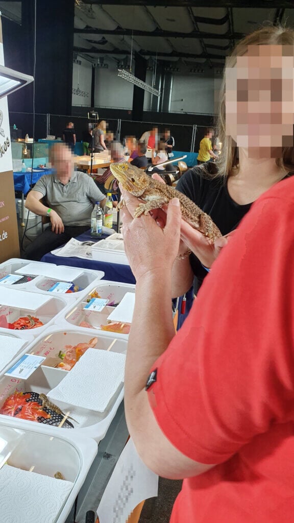 Reptilien wie Ware